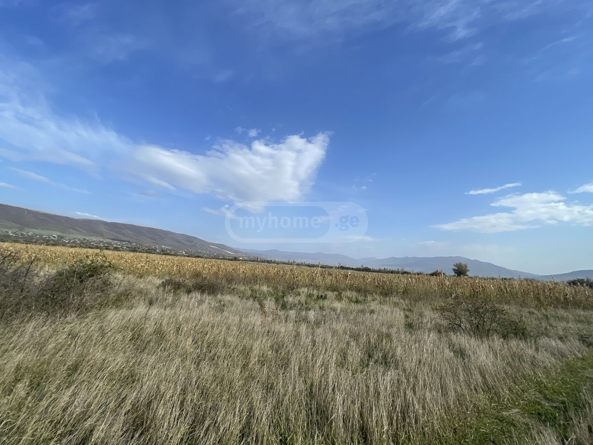 For Sale Sasoplo-Sameurneo Land Plot Mtskhetashi view 1