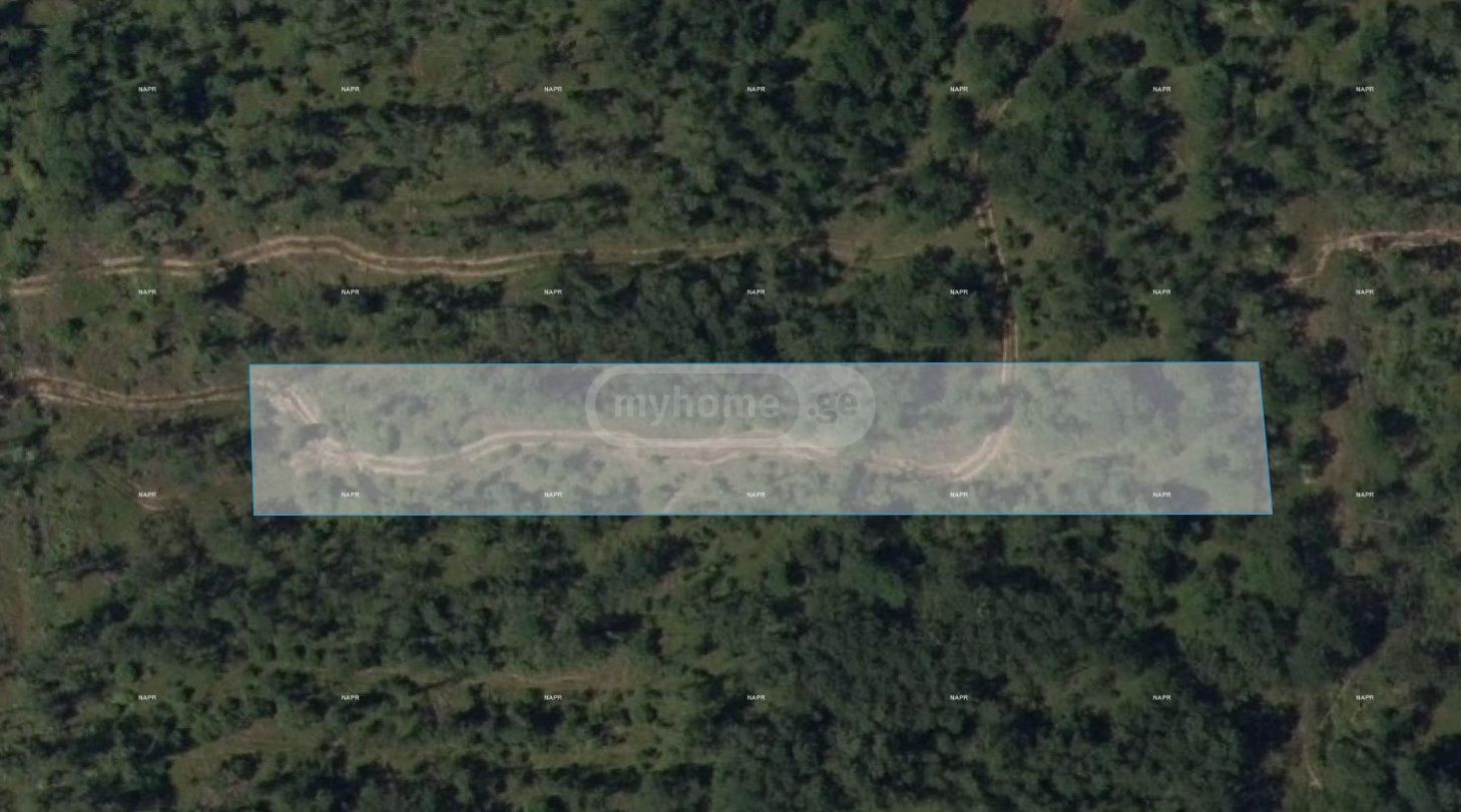 Продажа Земля / участок в Ozurgetshi view 4