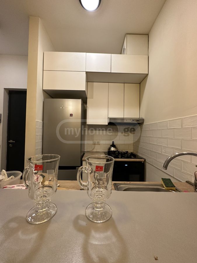 2 Room Apartment For Rent In Vake view 11