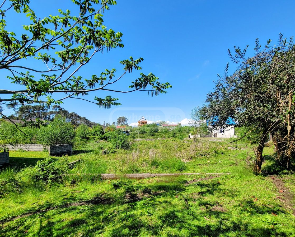Продажа Земля / участок в Ozurgetshi view 4