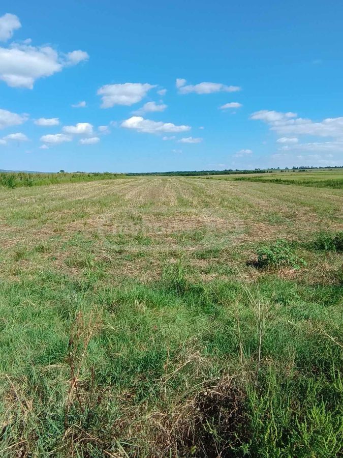 იყიდება Agricultural Plot In Arashenda, In Gurjaani Municipalityში view 1