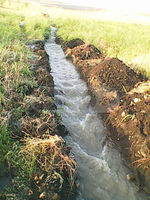 იყიდება Agricultural Plot In Arashenda, In Gurjaani Municipalityში view 4