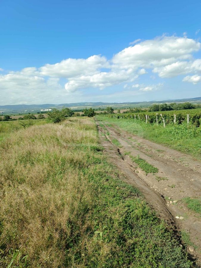 იყიდება Agricultural Plot In Arashenda, In Gurjaani Municipalityში view 5