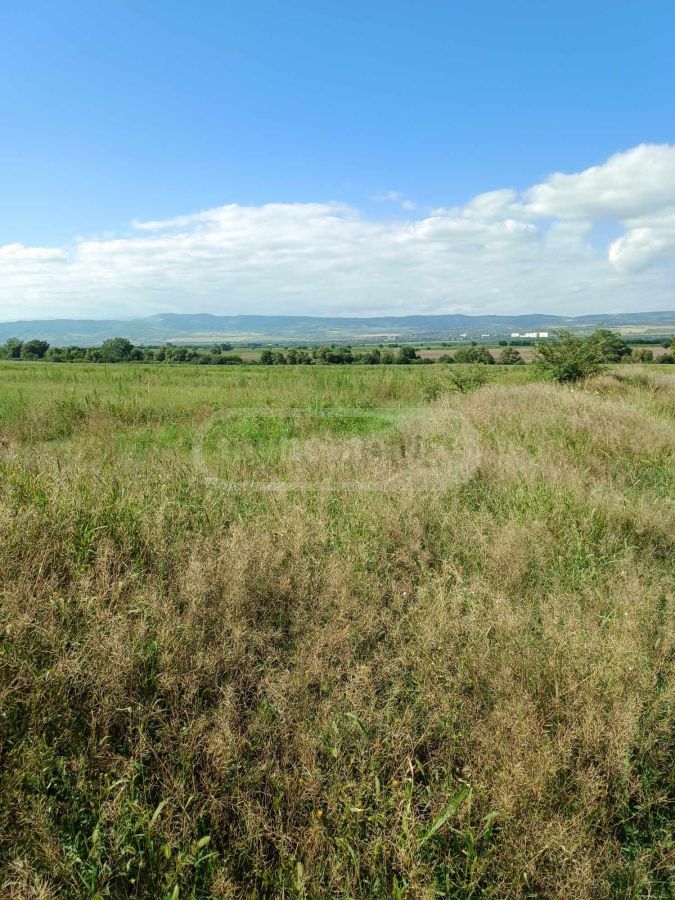იყიდება Agricultural Plot In Arashenda, In Gurjaani Municipalityში view 6