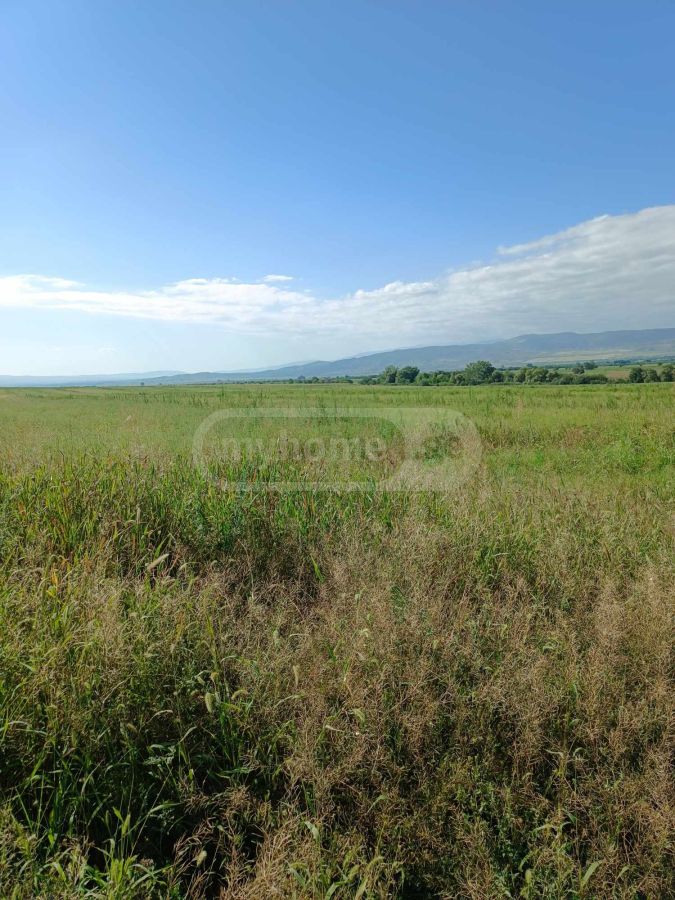 იყიდება Agricultural Plot In Arashenda, In Gurjaani Municipalityში view 7