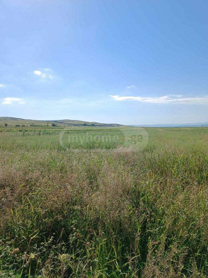 იყიდება Agricultural Plot In Arashenda, In Gurjaani Municipalityში view 8