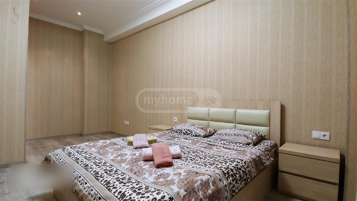 2 Room Apartment Daily Rent In Nadzaladevi view 1