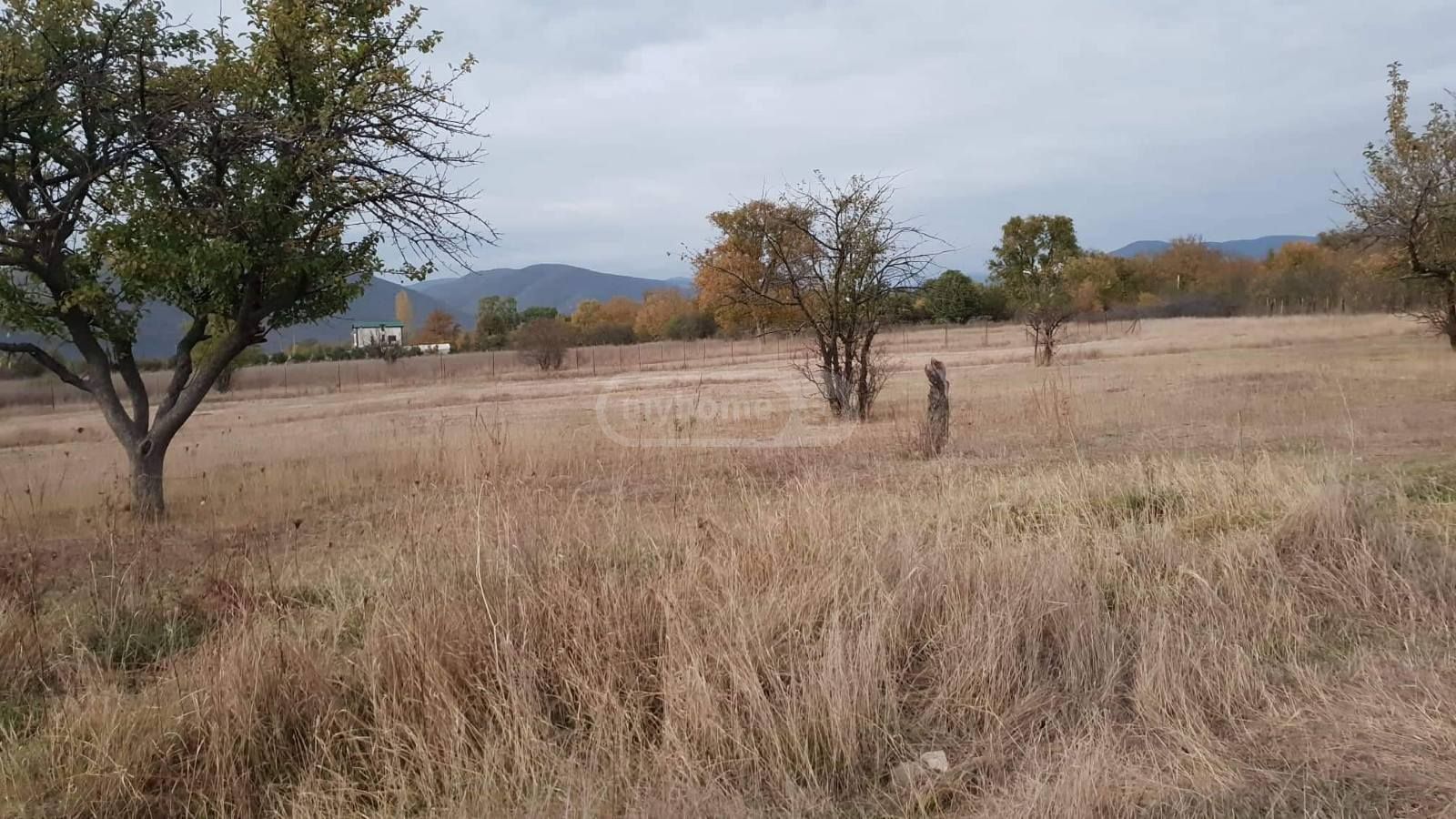 Agricultural Plot For Sale In Dusheti Municipality view 4