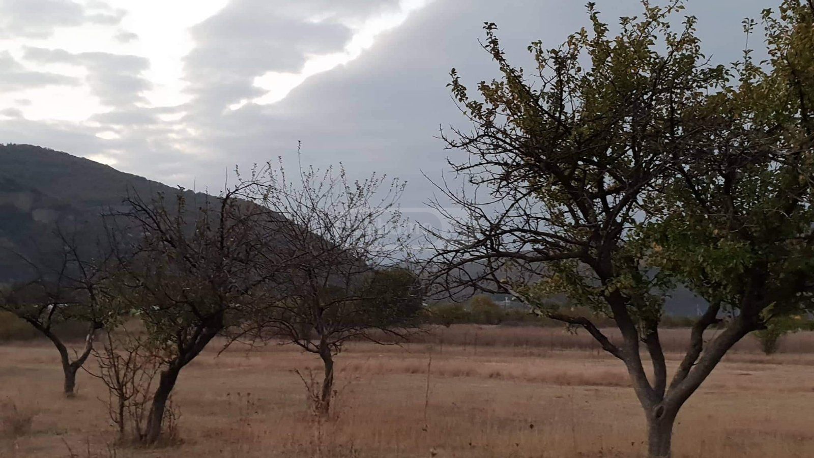 Agricultural Plot For Sale In Dusheti Municipality view 5