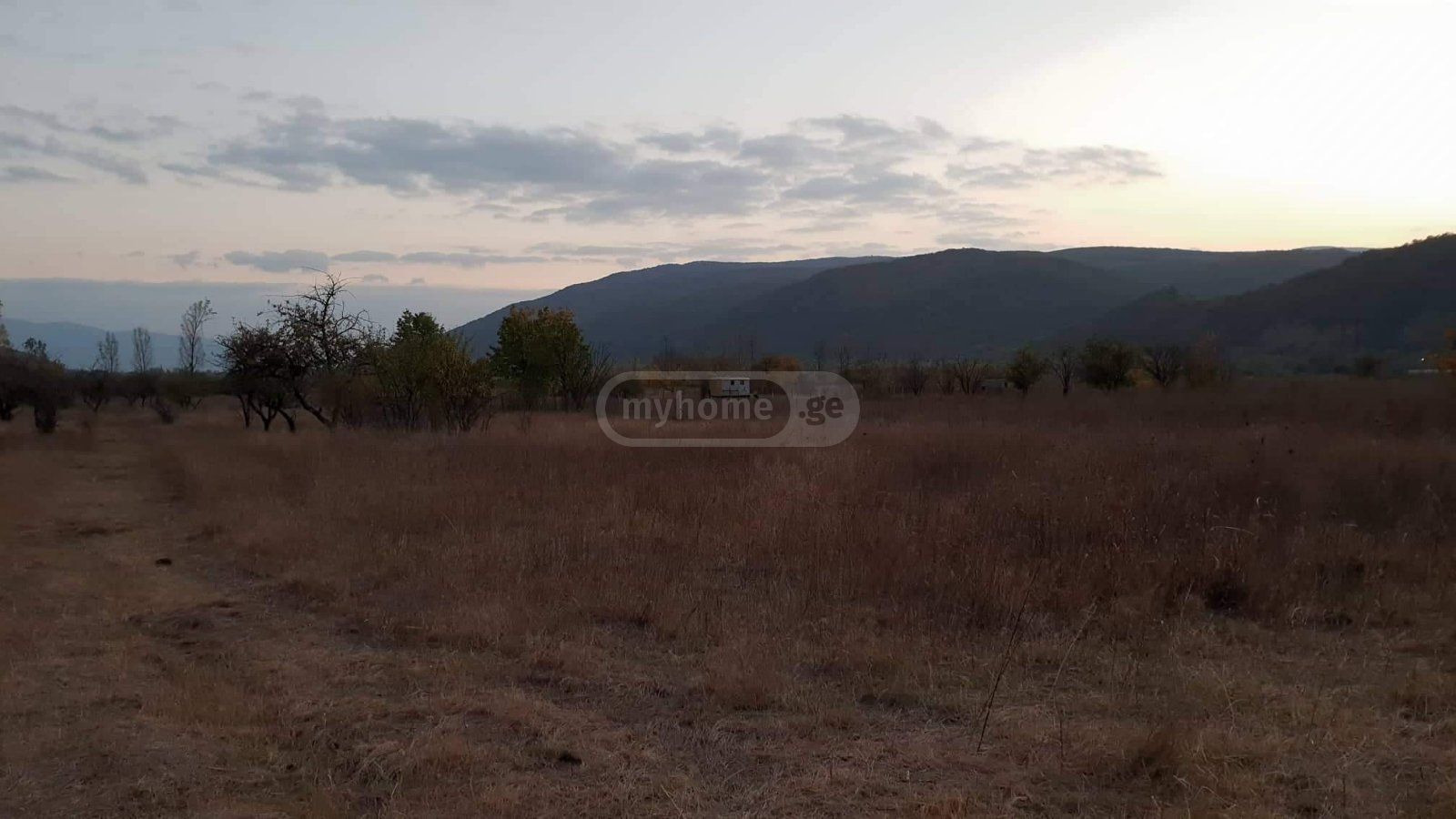 Agricultural Plot For Sale In Dusheti Municipality view 7