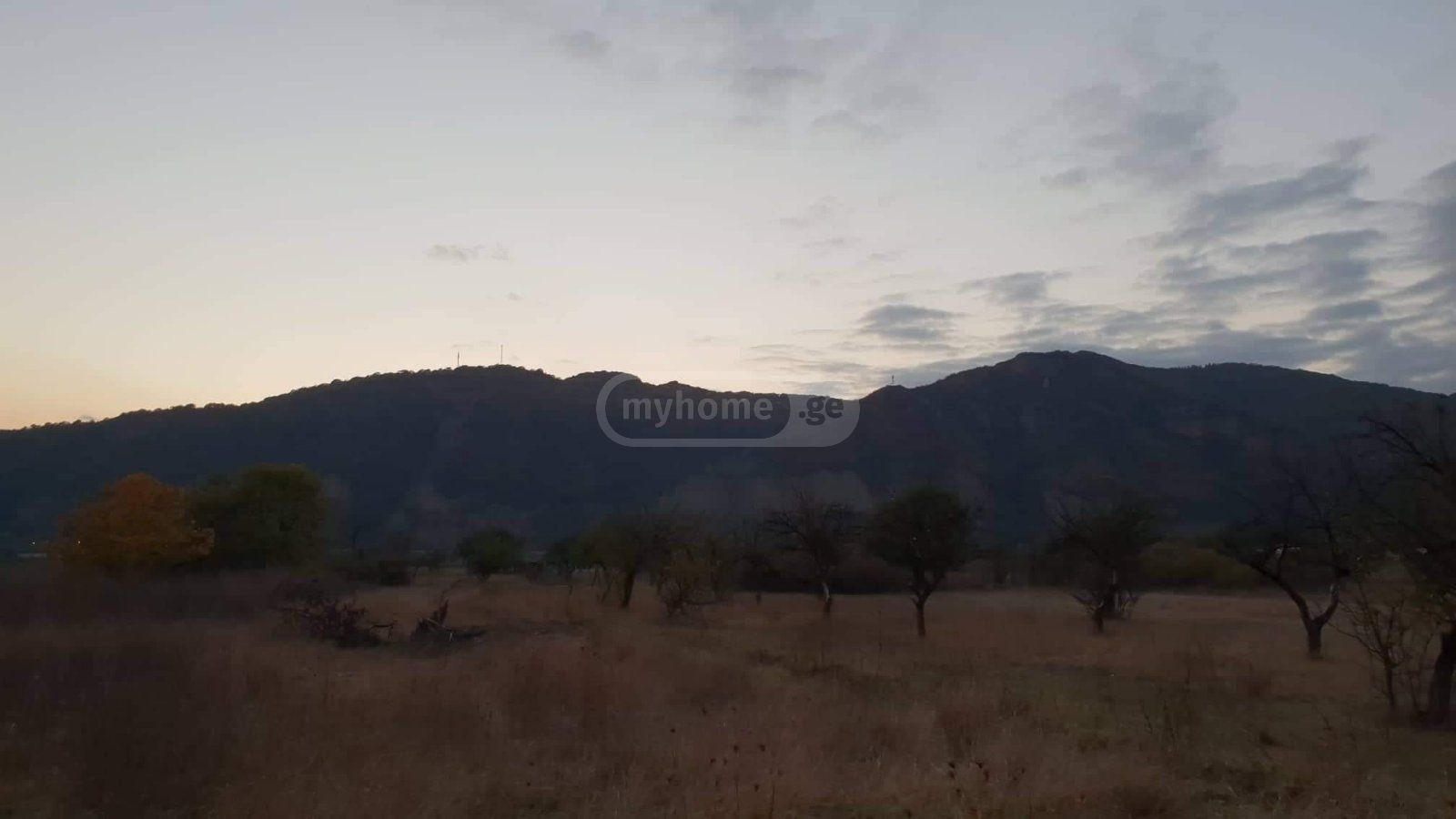 Agricultural Plot For Sale In Dusheti Municipality view 8