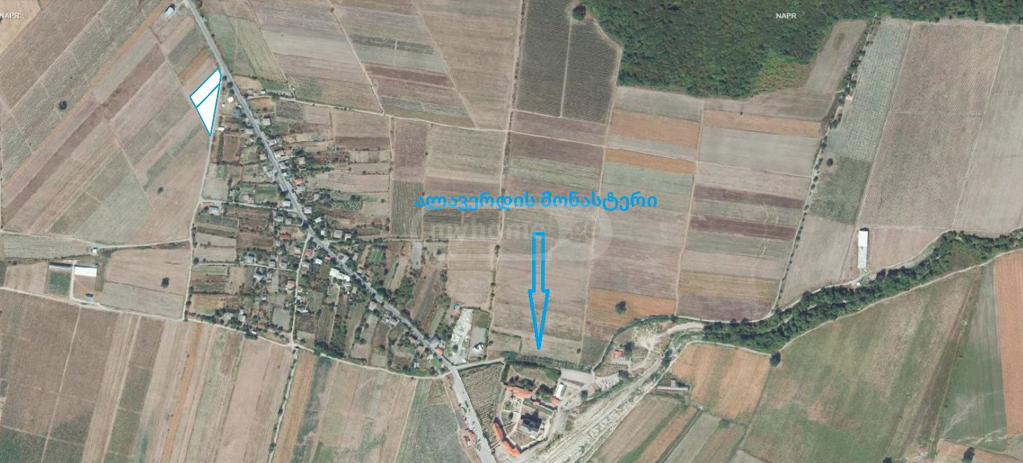 Agricultural Plot For Sale In Akhmeta view 2