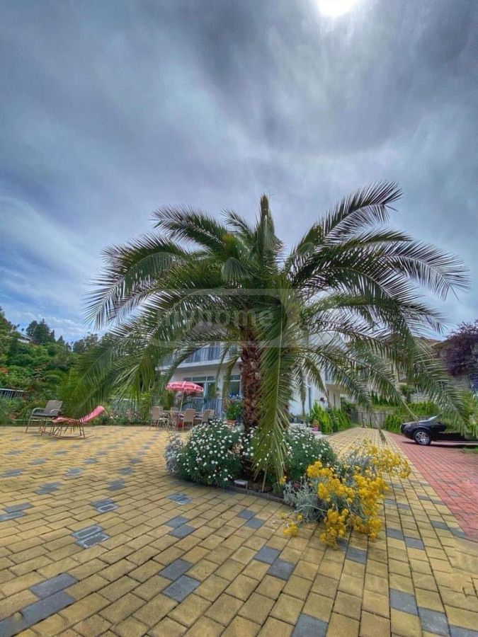 For Rent 5 Room Private House Kobuletis Munitsipalitetshi view 12
