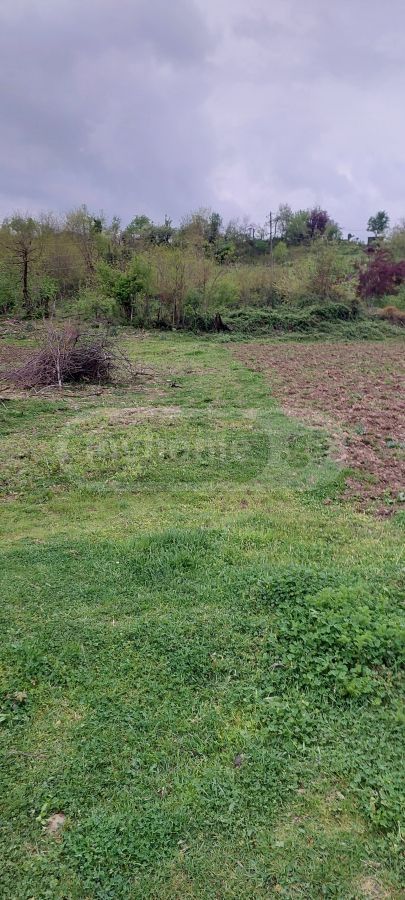 იყიდება მიწა / ნაკვეთი Baghdatshiში view 7