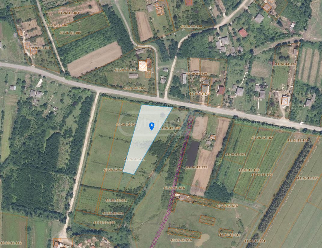 Agricultural Plot For Sale In Zugdidi view 5