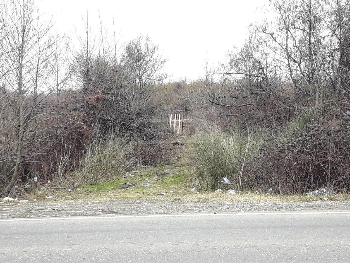 For Sale Sasoplo-Sameurneo Land Plot Ozurgetis Munitsipalitetshi view 2