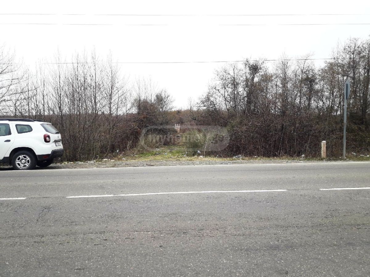 For Sale Sasoplo-Sameurneo Land Plot Ozurgetis Munitsipalitetshi view 3