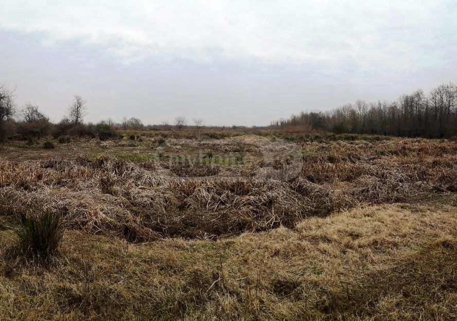For Sale Sasoplo-Sameurneo Land Plot Ozurgetis Munitsipalitetshi view 6