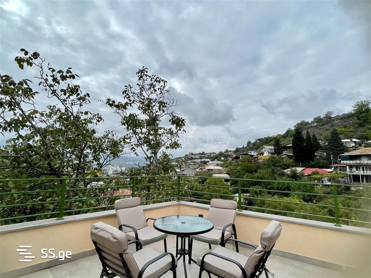 2 Room Country House Daily Rent In Nadzaladevi view 4