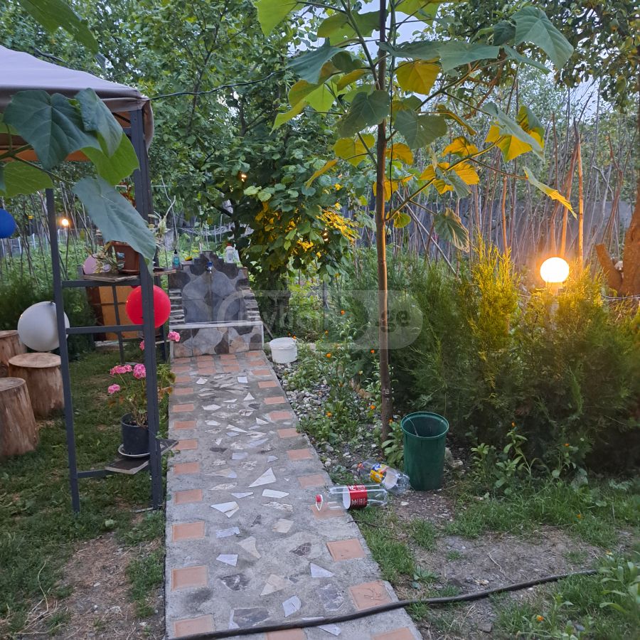 Daily Rent 10+ Room Country House Tianetis Munitsipalitetshi, 11 of 12