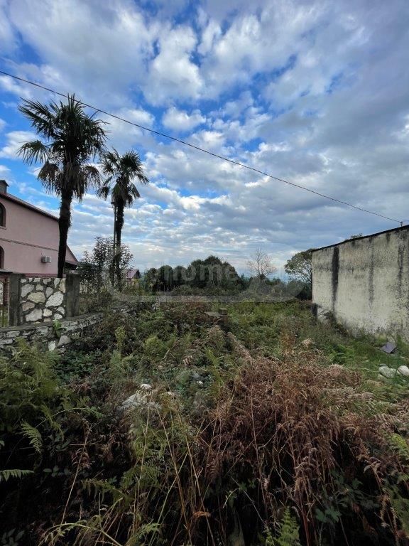 Agricultural Plot For Sale In Zugdidi Municipality view 3