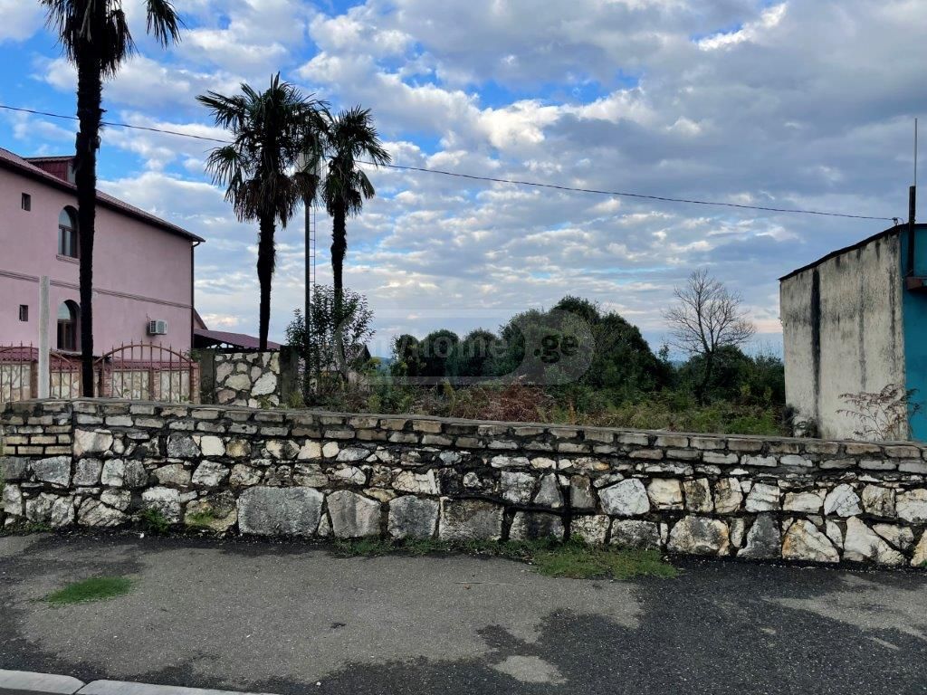 Agricultural Plot For Sale In Zugdidi Municipality view 2