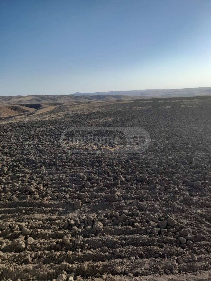 For Sale Sasoplo-Sameurneo Land Plot Sighnaghshi view 3