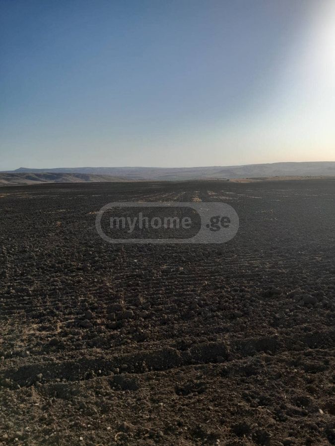 For Sale Sasoplo-Sameurneo Land Plot Sighnaghshi view 4