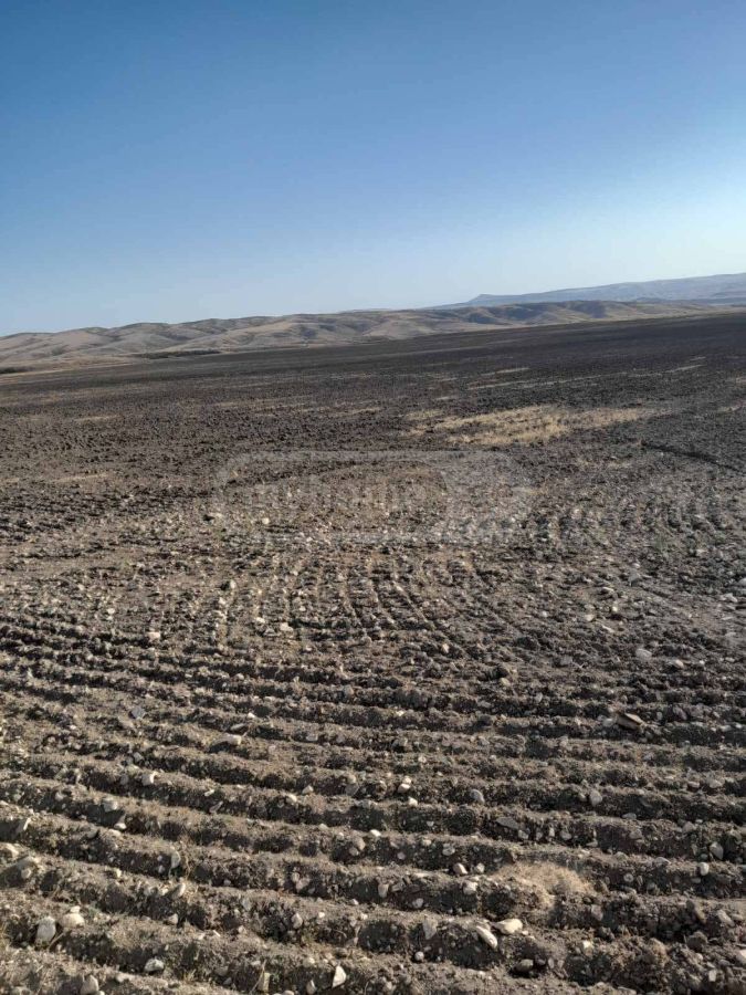 For Sale Sasoplo-Sameurneo Land Plot Sighnaghshi view 5