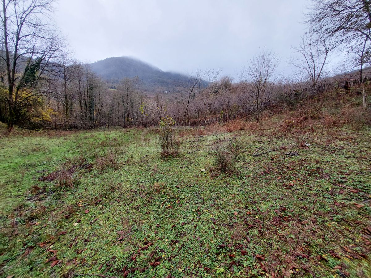 Agricultural Plot For Sale In Samtredia view 1