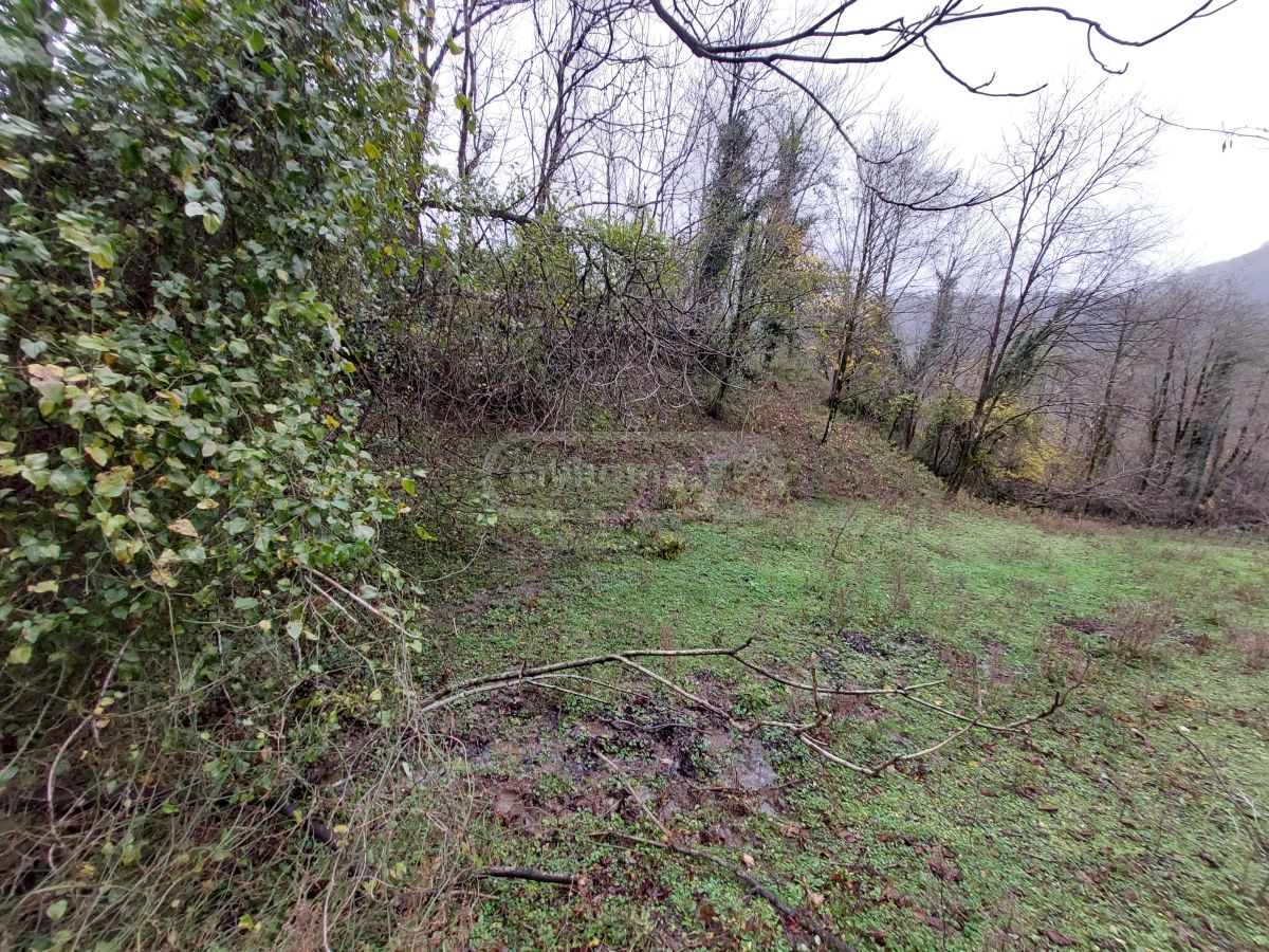 Agricultural Plot For Sale In Samtredia view 2