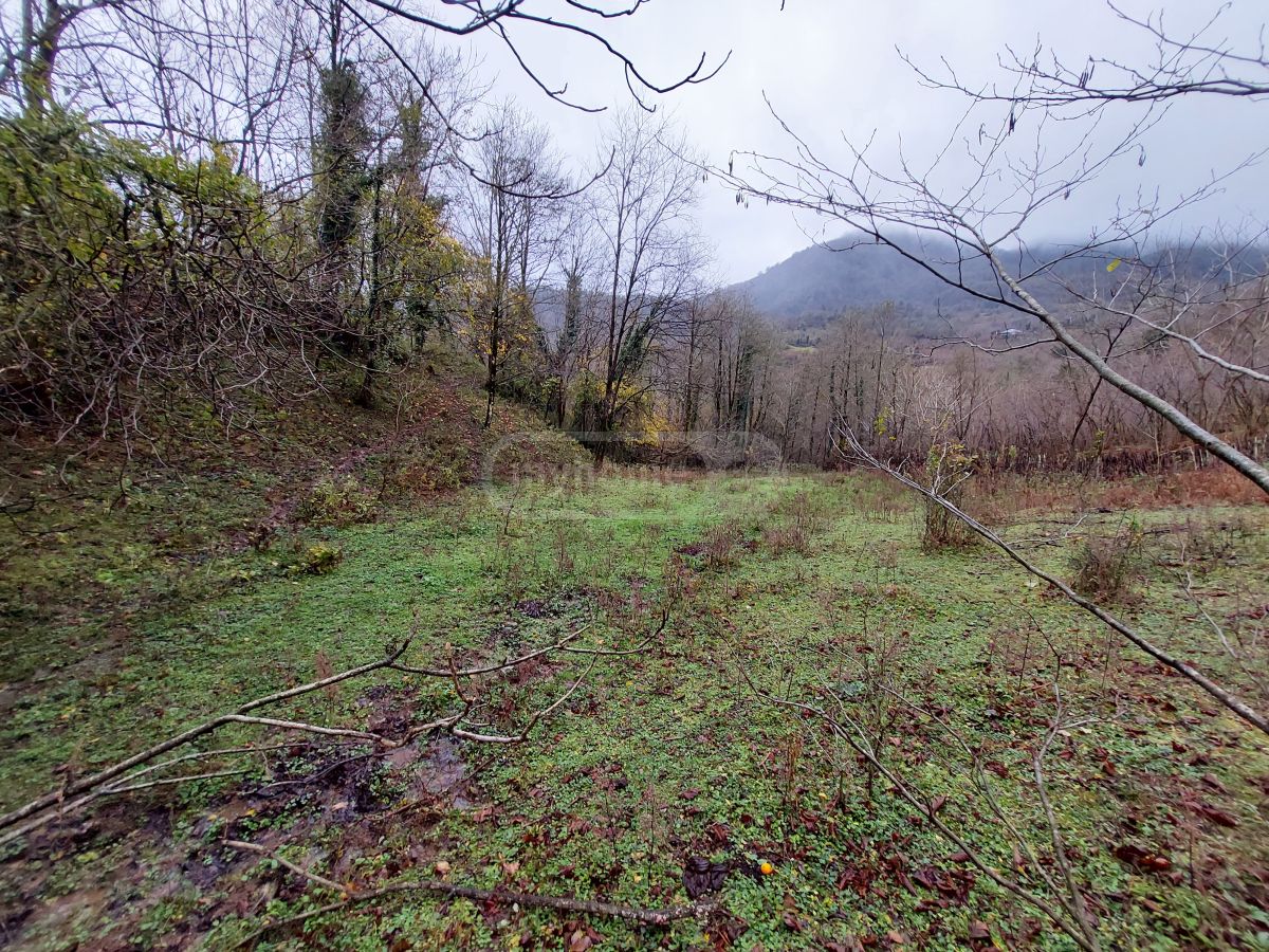 Agricultural Plot For Sale In Samtredia view 3
