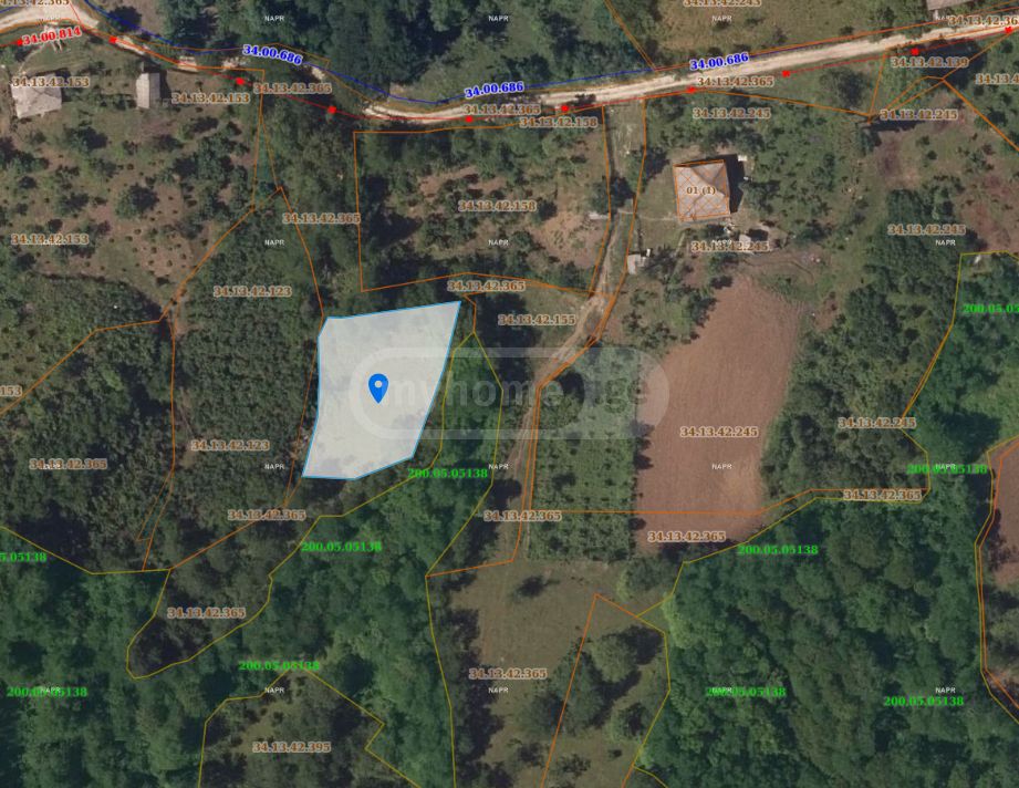 Agricultural Plot For Sale In Samtredia view 4