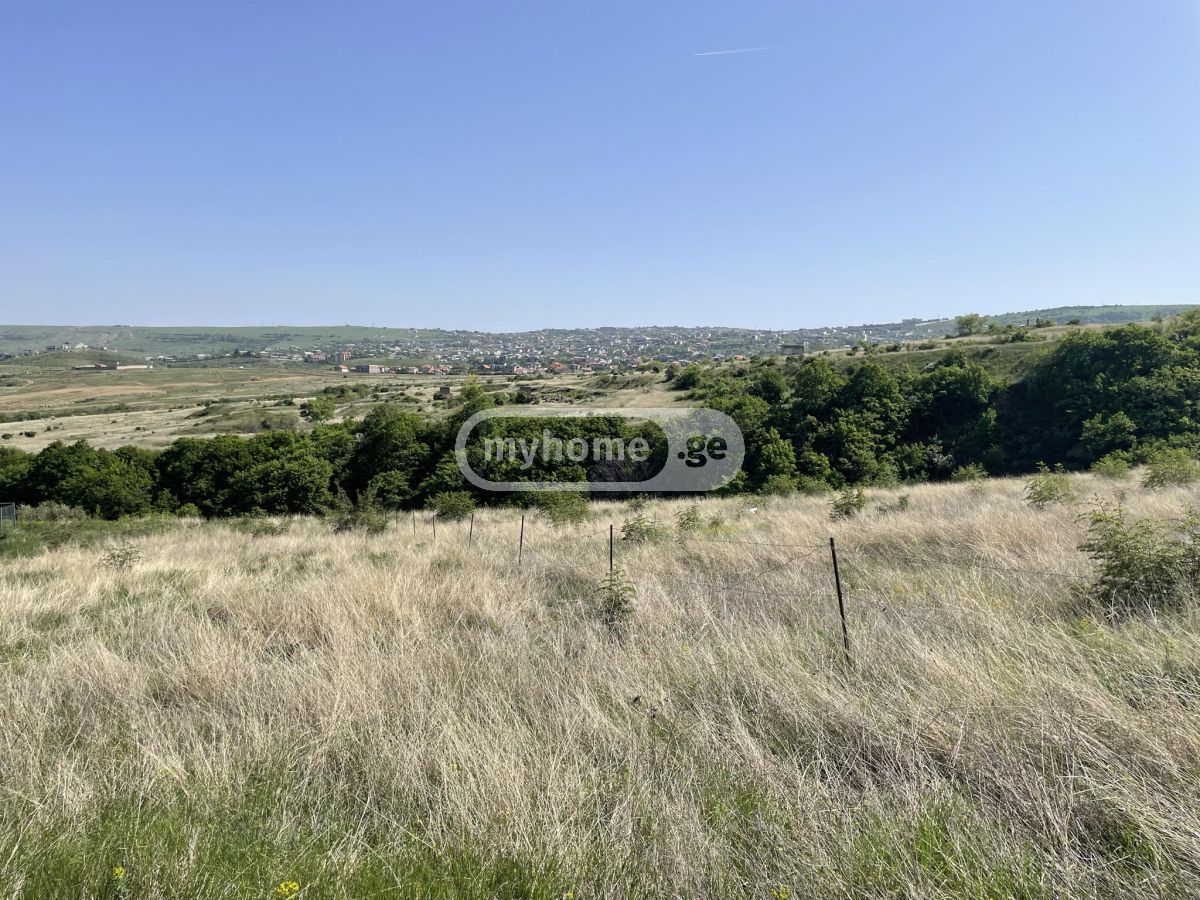 For Sale Sasoplo-Sameurneo Land Plot Okroqanashi view 2