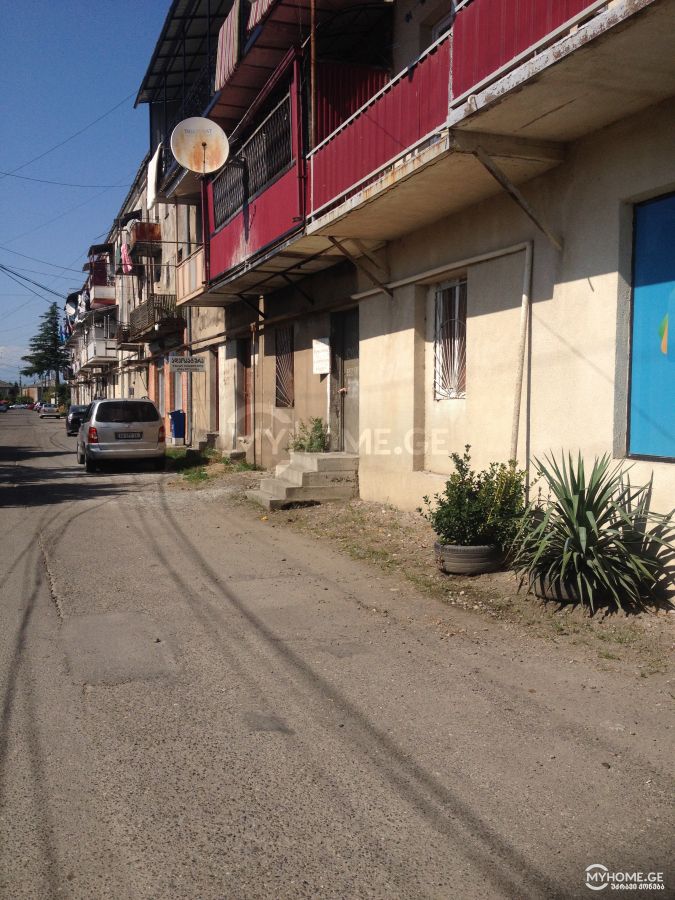 For Sale Saopise Commercial Space Samtrediashi view 2