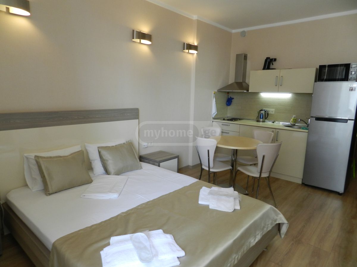 Daily Rent 1 Room Sastumro view 8