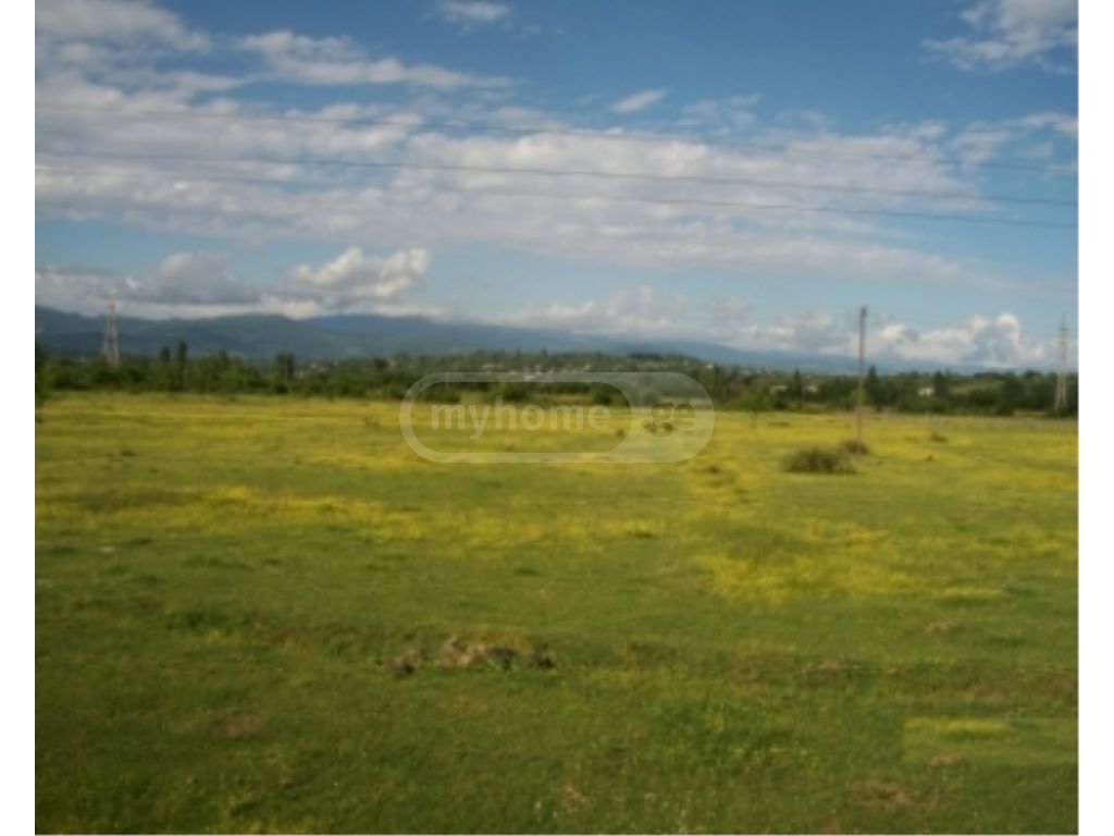 For Sale Sasoplo-Sameurneo Land Plot view 1
