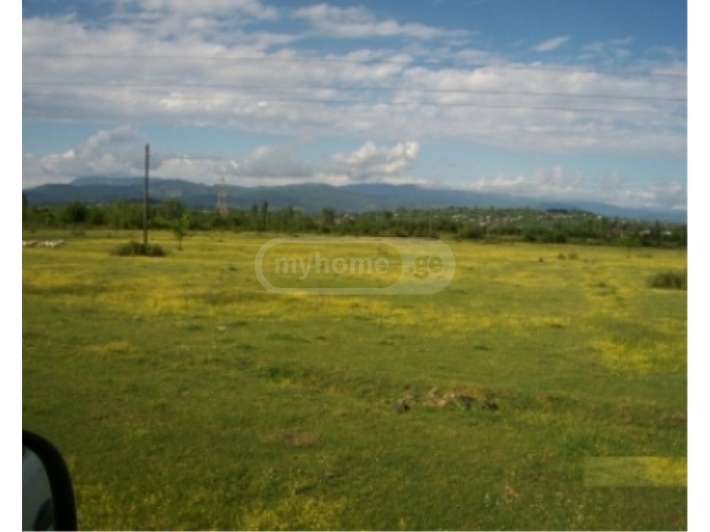 For Sale Sasoplo-Sameurneo Land Plot view 2