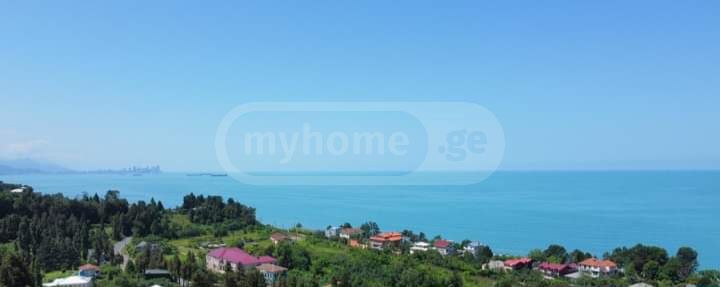 For Sale Sasoplo-Sameurneo Land Plot Kobuletis Munitsipalitetshi view 1