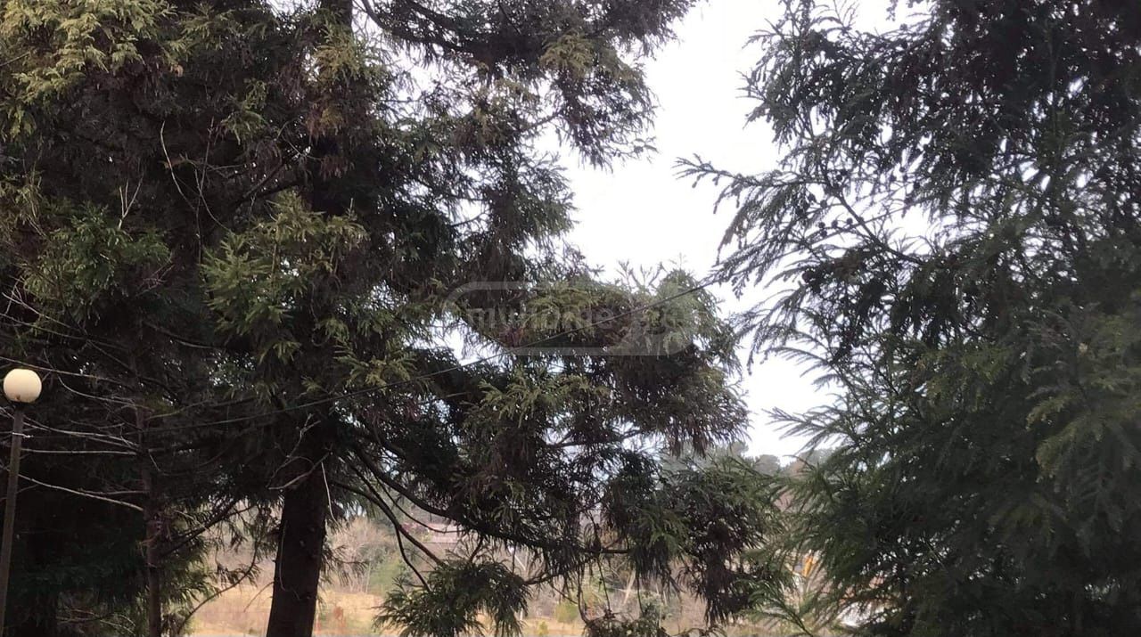 For Sale Sasoplo-Sameurneo Land Plot Kobuletis Munitsipalitetshi view 2