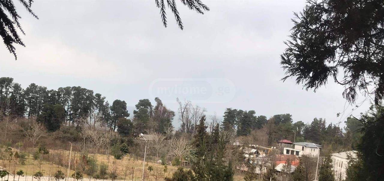 For Sale Sasoplo-Sameurneo Land Plot Kobuletis Munitsipalitetshi view 3