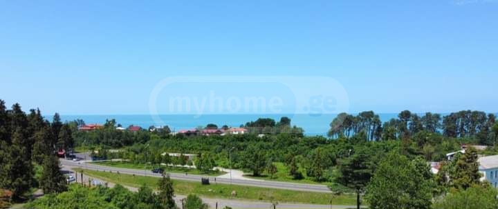 For Sale Sasoplo-Sameurneo Land Plot Kobuletis Munitsipalitetshi view 4