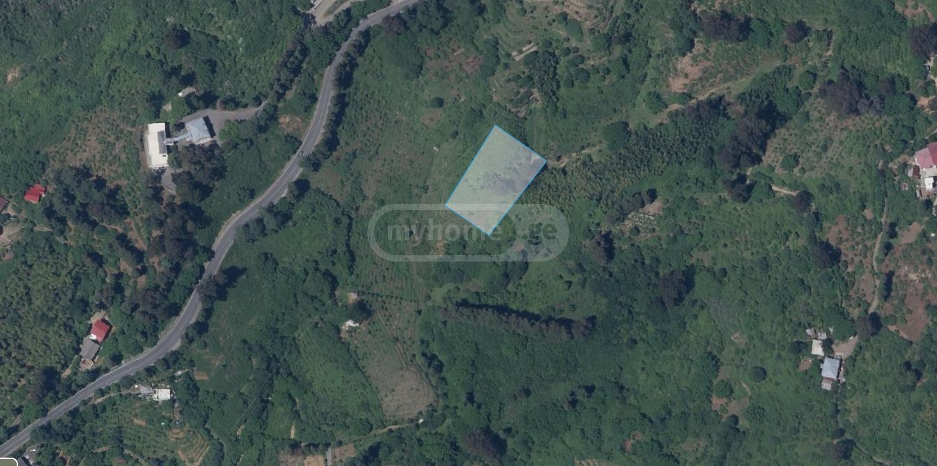 Non-Agricultural Plot For Sale In Kobuleti Municipality view 1