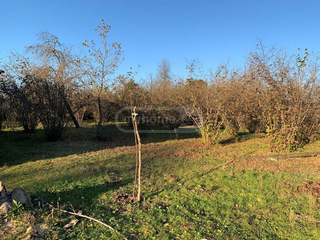 4 Room Private House For Sale view 5