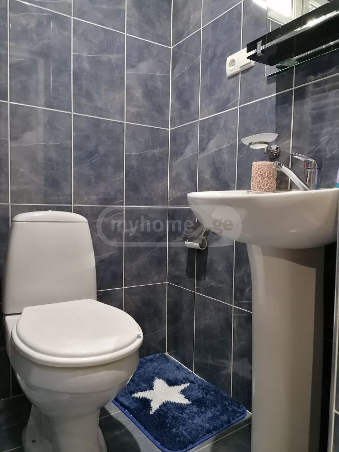 2 Room Private House Daily Rent In Borjomi view 12