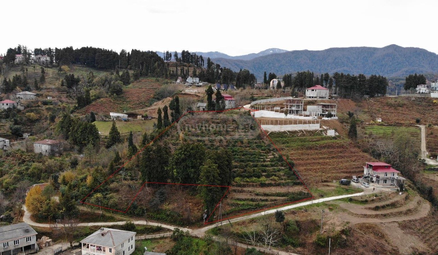 Non-Agricultural Plot For Sale In Khelvachauri view 5