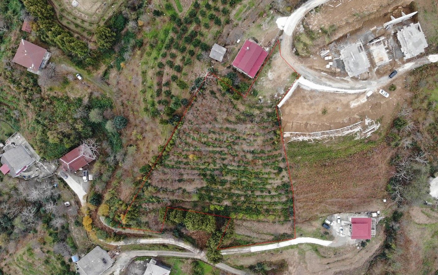 Non-Agricultural Plot For Sale In Khelvachauri view 6