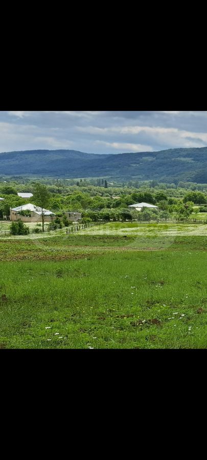 Продажа Agricultural Plot в In Tianeti, In Tianeti Municipality view 1