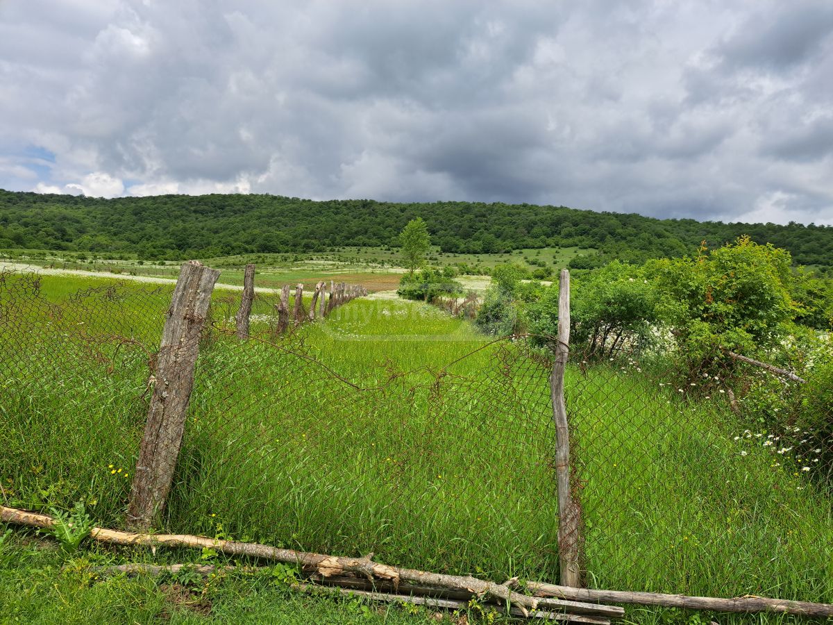 Продажа Agricultural Plot в In Tianeti, In Tianeti Municipality view 3