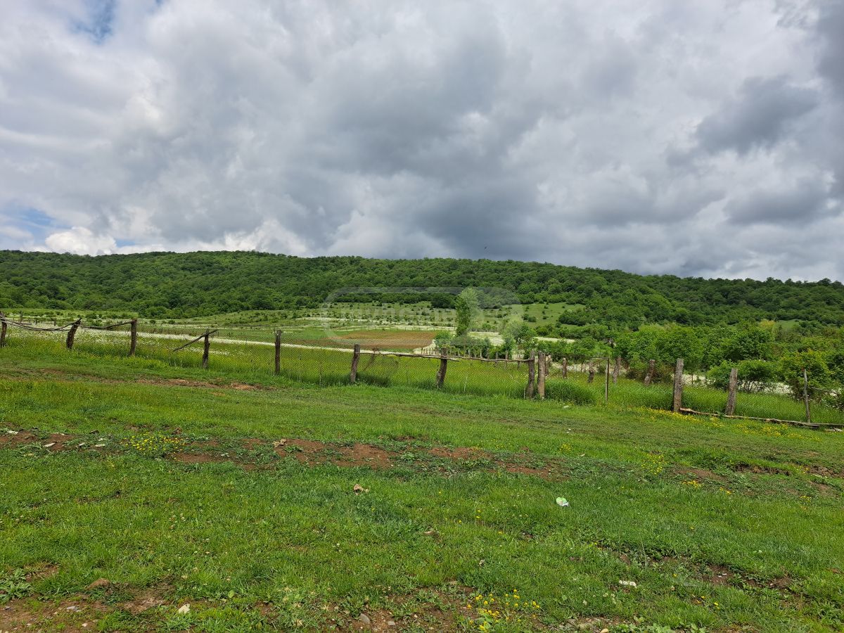 Продажа Agricultural Plot в In Tianeti, In Tianeti Municipality view 4